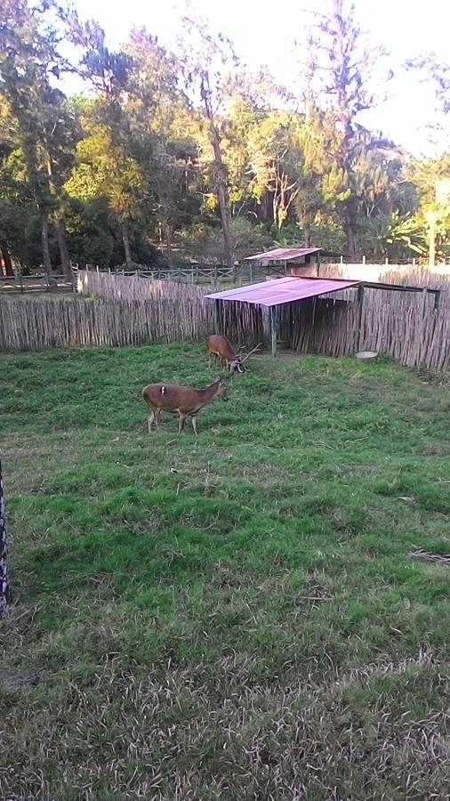 Hostel Guara Guaramiranga Eksteriør bilde